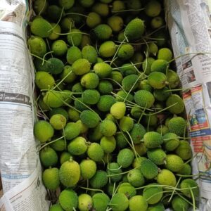 Odisha Spine Gourd – Kankada