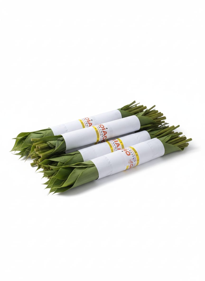 WhatsApp Image 2025-11-09 at 7.10.47 PM