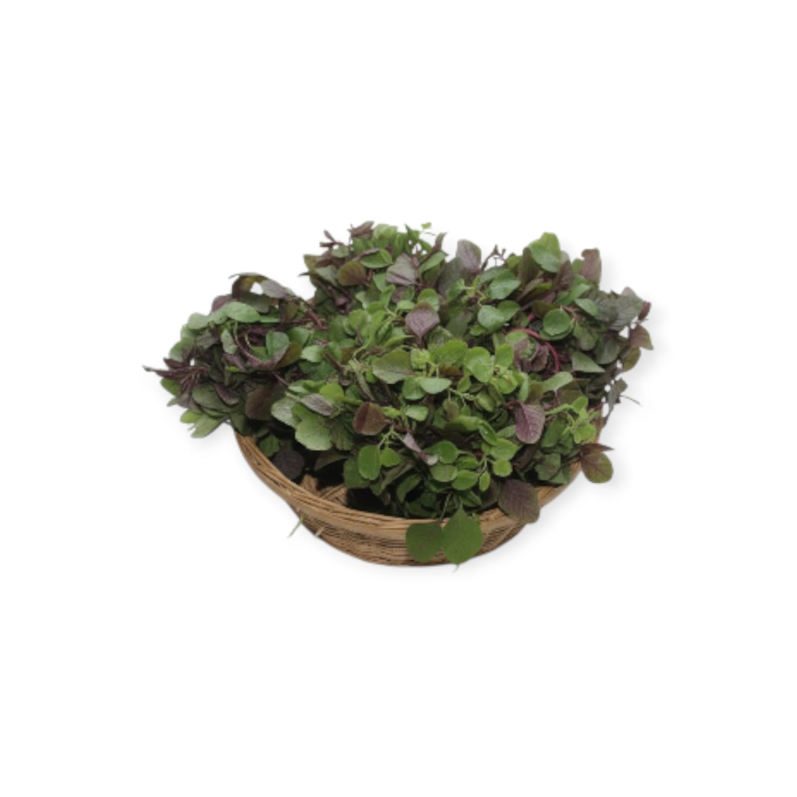 WhatsApp Image 2025-11-12 at 2.00.32 PM (1)