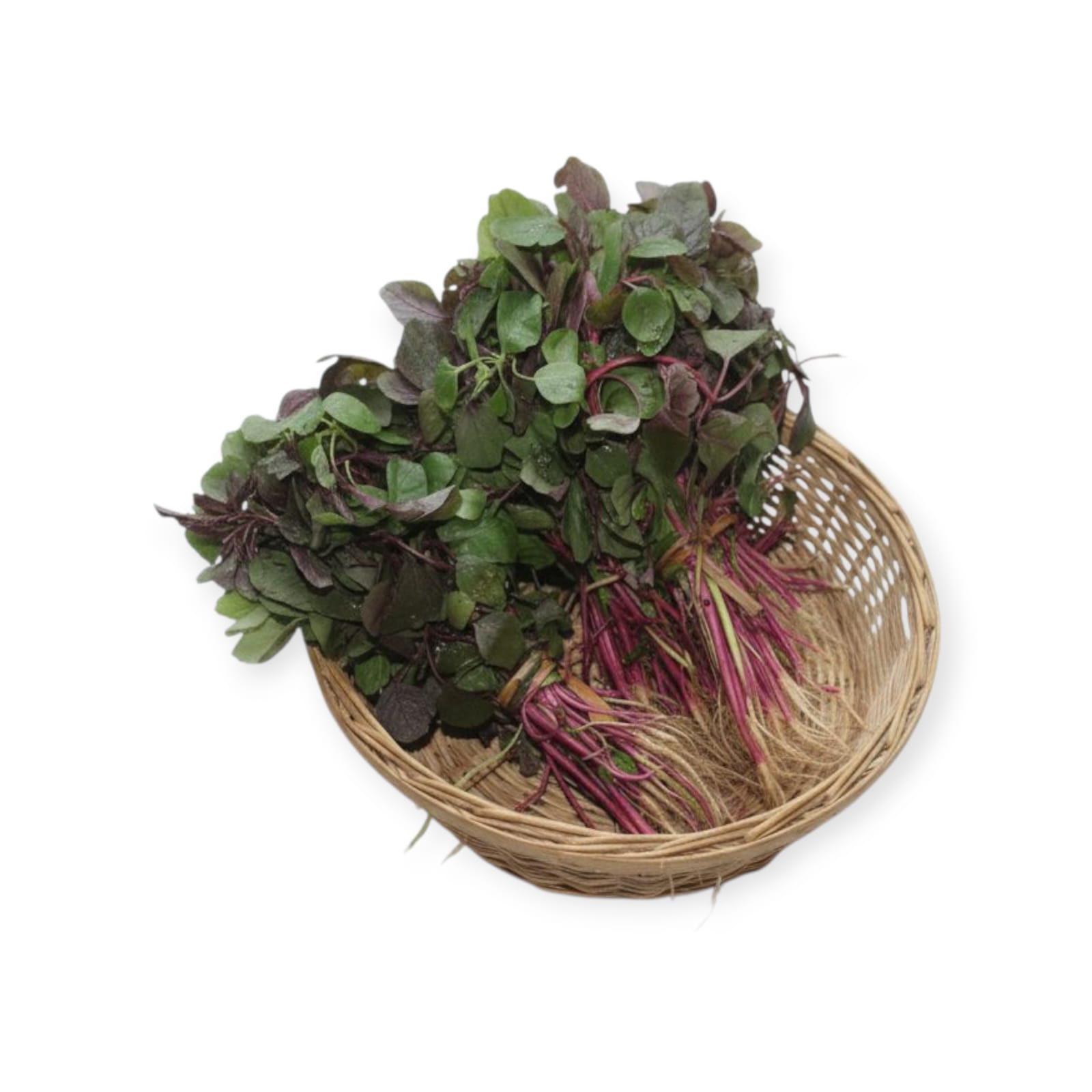 WhatsApp Image 2025-11-12 at 2.00.32 PM