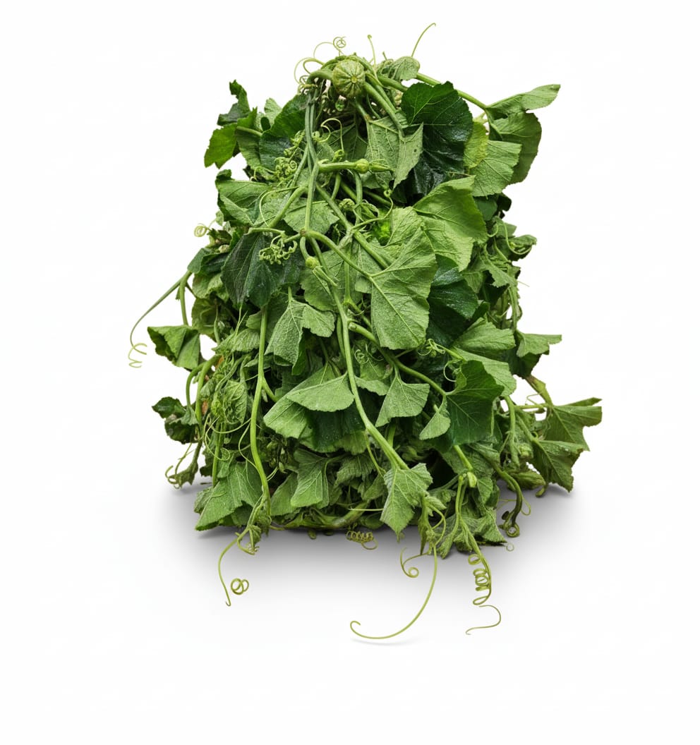 WhatsApp Image 2025-11-08 at 9.17.13 PM