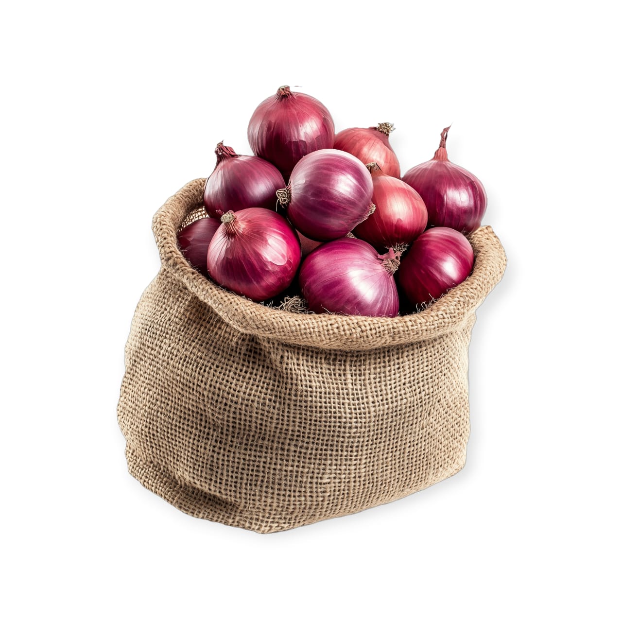 WhatsApp Image 2025-12-02 at 12.24.19 AM WhatsApp Image 2025 12 02 at 12.24.19 AM