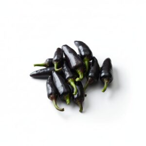 WhatsApp Image 2025 12 19 at 4.09.04 PM