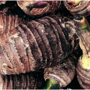 WhatsApp Image 2025 12 19 at 4.54.30 PM