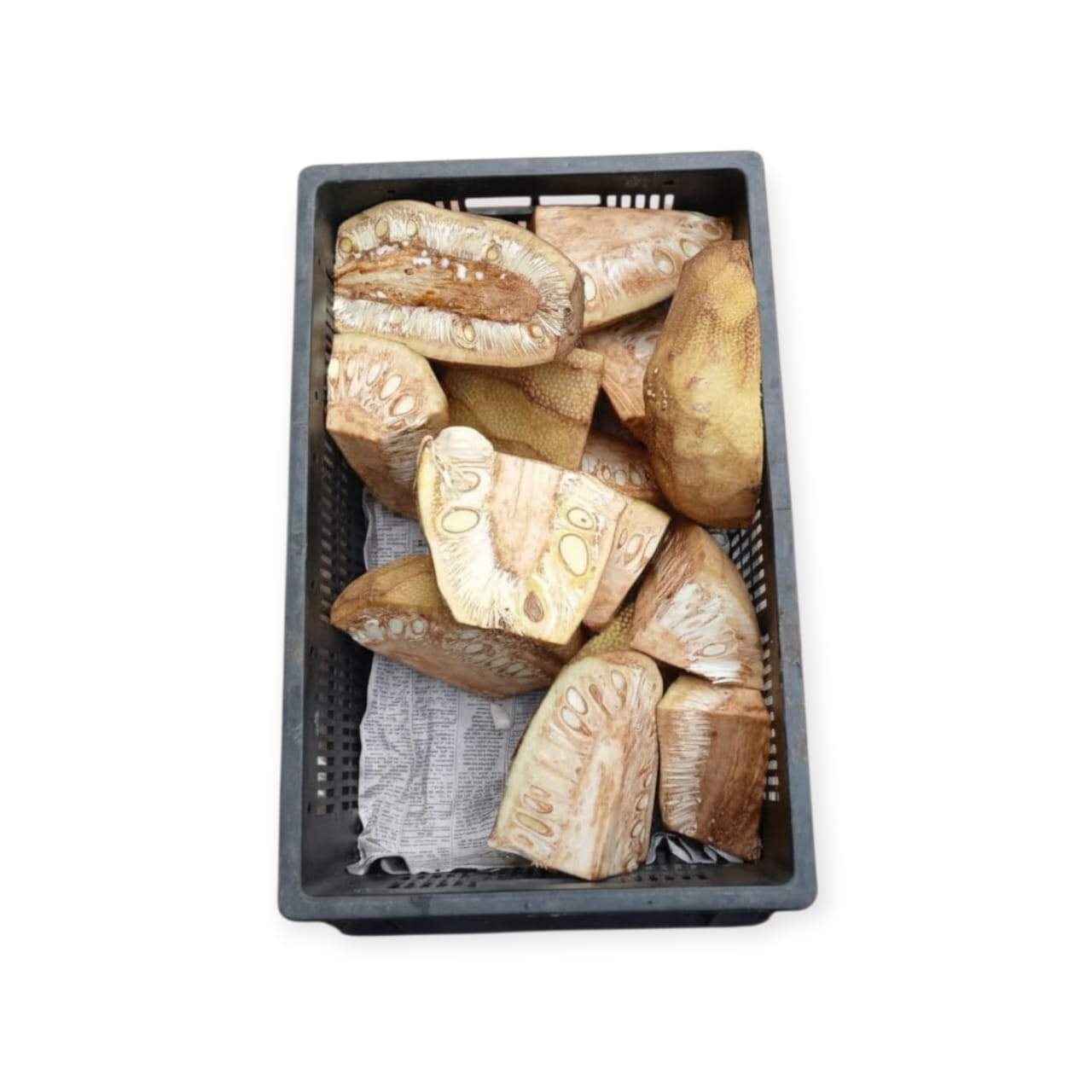 WhatsApp Image 2025-12-19 at 9.16.34 PM WhatsApp Image 2025 12 19 at 9.16.34 PM